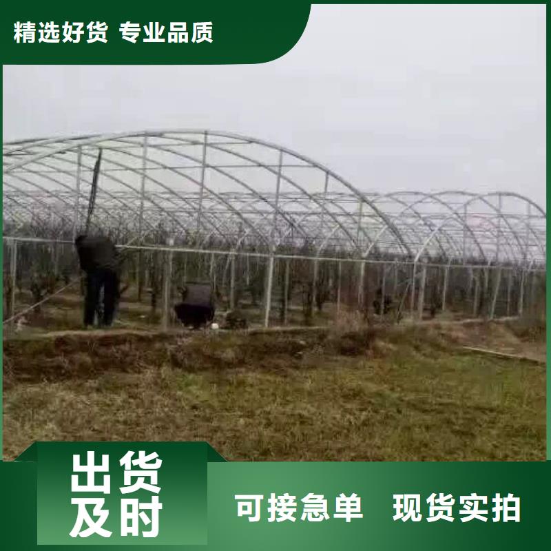 钢管铝排专业完善售后当地厂家