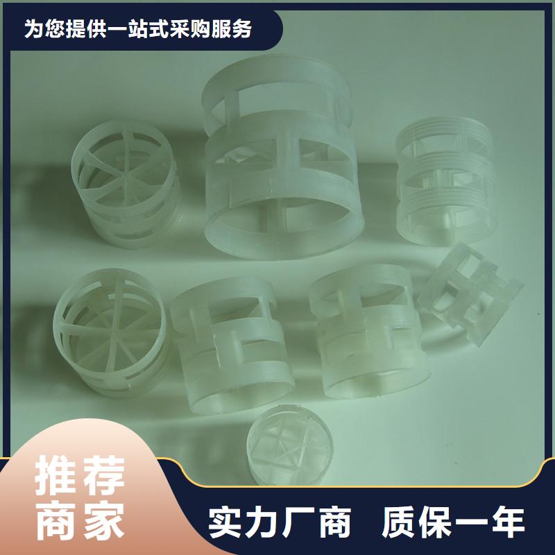 鲍尔环-纤维球价格公道合理材质实在