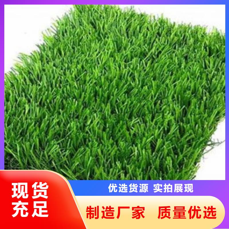 【人造草坪塑胶跑道核心技术】品牌大厂家
