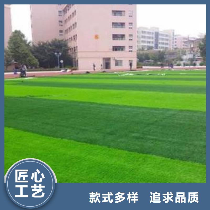 人造草坪塑胶跑道好品质选我们本地生产商