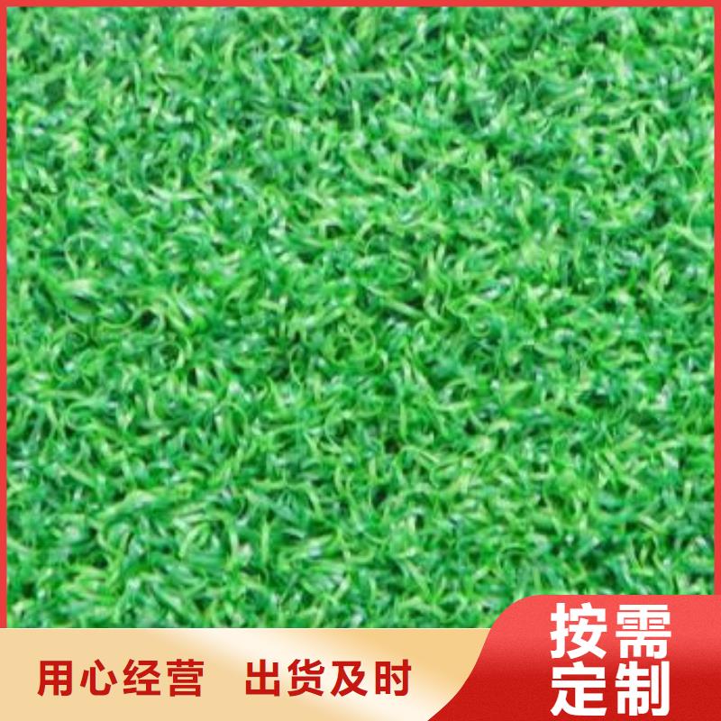人造草坪同质透心地材支持定制厂家精选