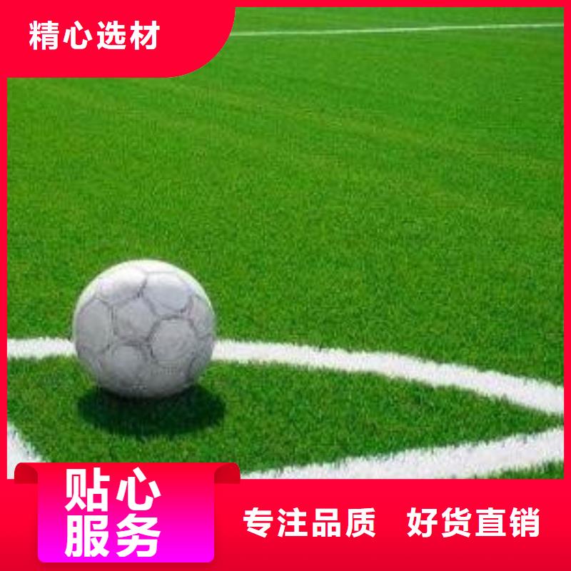 【人造草坪塑胶跑道施工专业生产厂家】源头采购