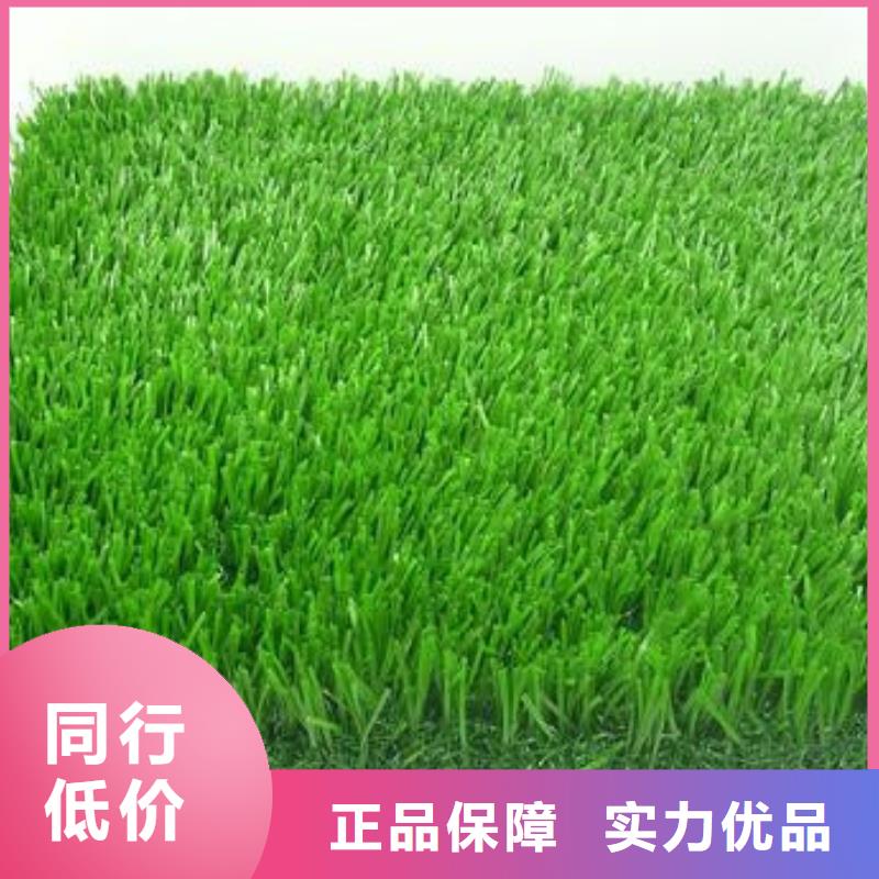 人造草坪塑胶跑道大品牌值得信赖品质之选
