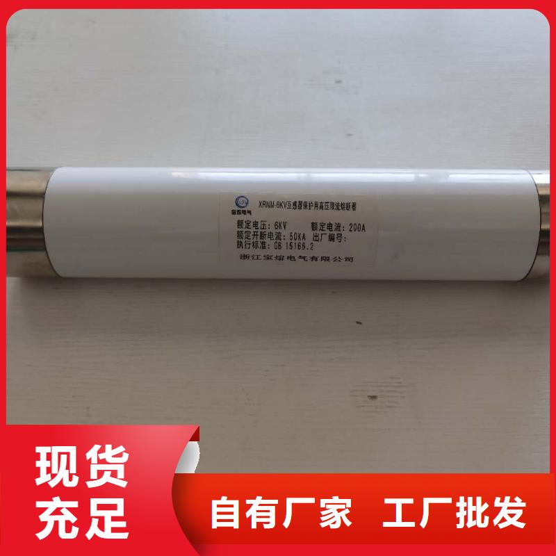 高压熔断器高压限流熔断器准时交付品质有保障