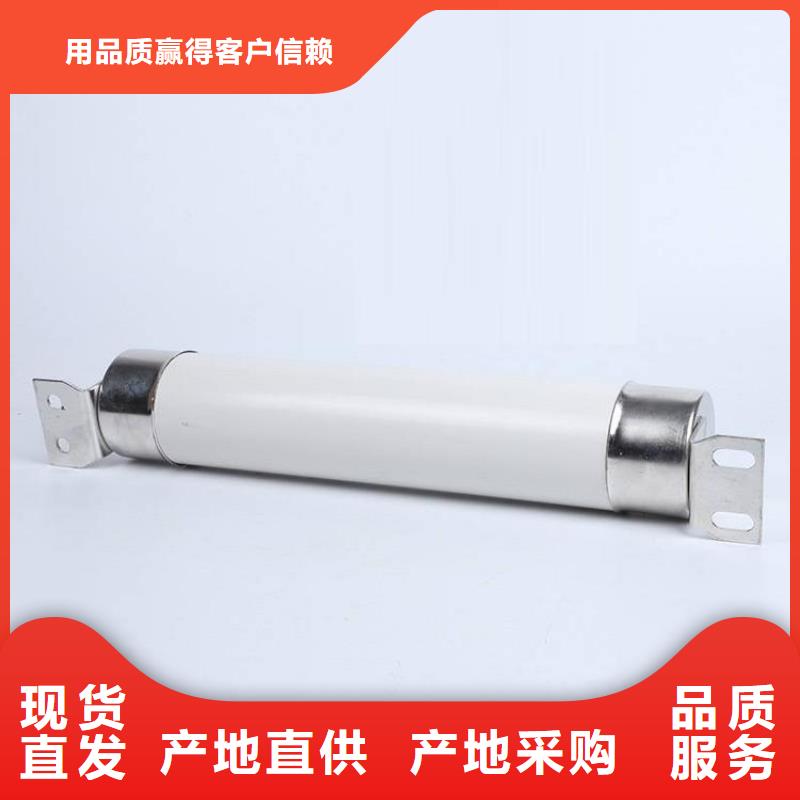 高压熔断器-【XRNP-10KV高压限流熔断器】专业生产N年专注质量