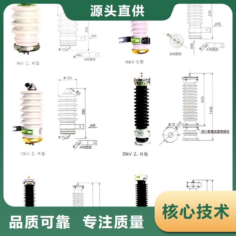 氧化锌避雷器高压保险丝保险管型号全价格低当地公司