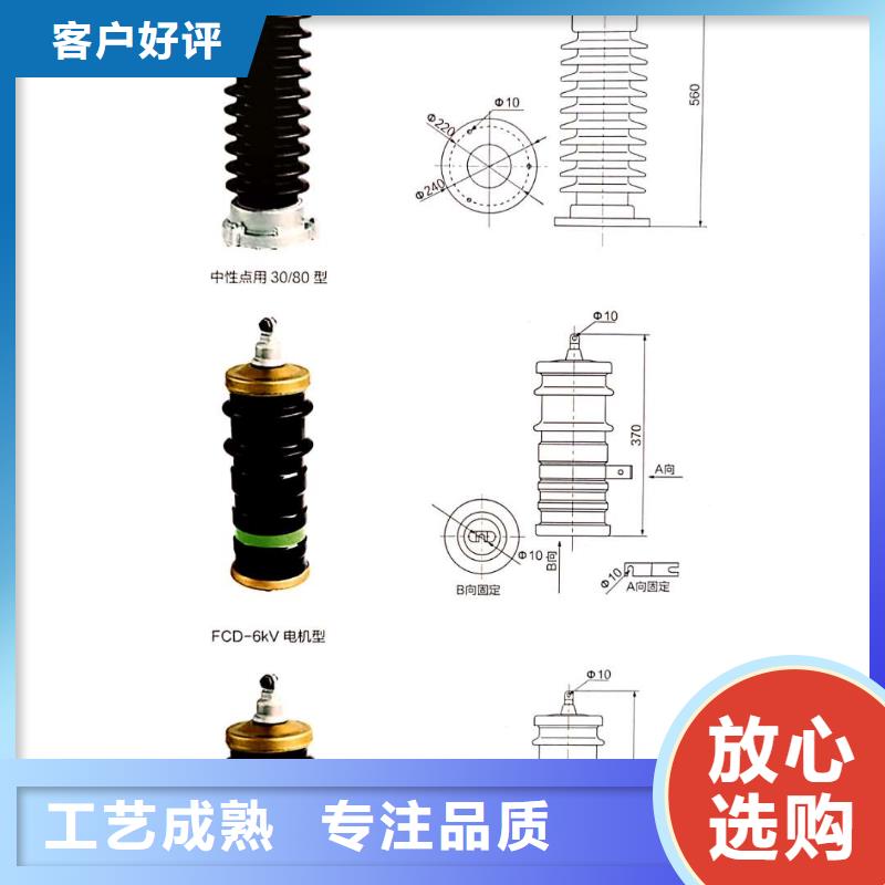 氧化锌避雷器-XRNP-10KV高压限流熔断器源头厂家供应附近服务商