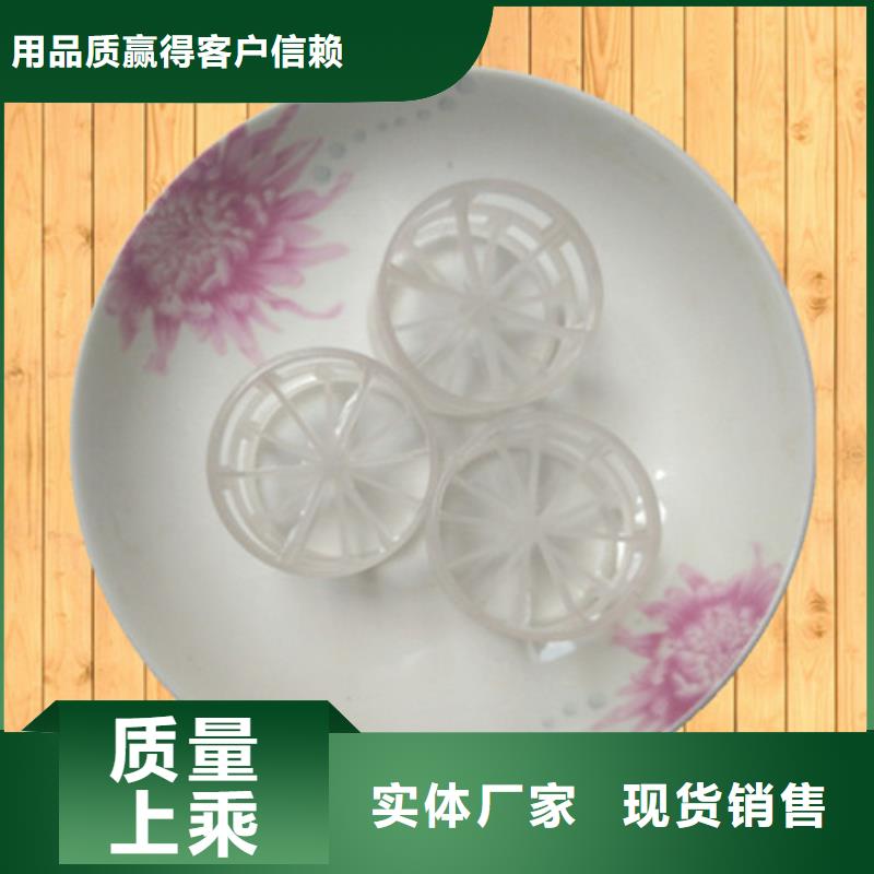 鲍尔环填料【椰壳粉末活性炭】专注质量高性价比