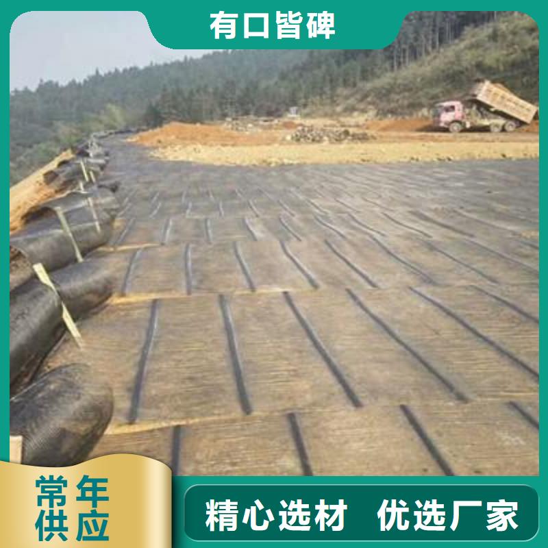 单向塑料土工格栅_三维复合排水网优选货源拒绝伪劣产品