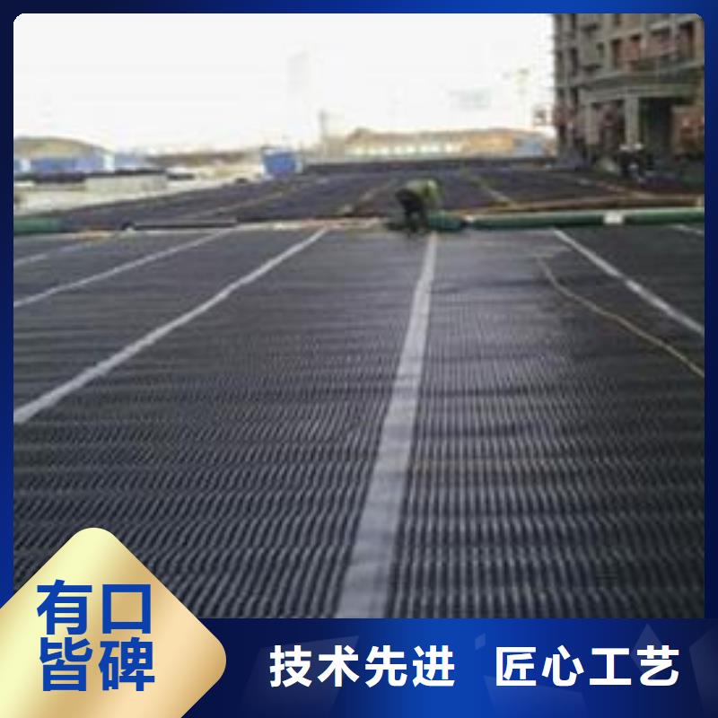 双向塑料土工格栅复合土工膜诚信经营质量保证本地经销商