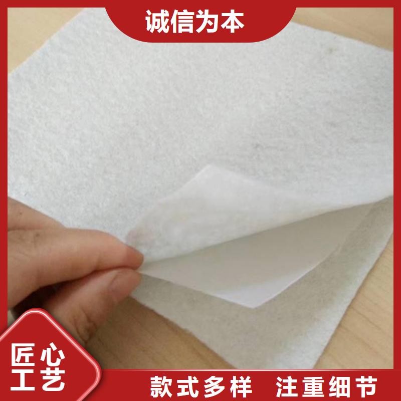复合土工膜-蜂巢格室丰富的行业经验今日价格