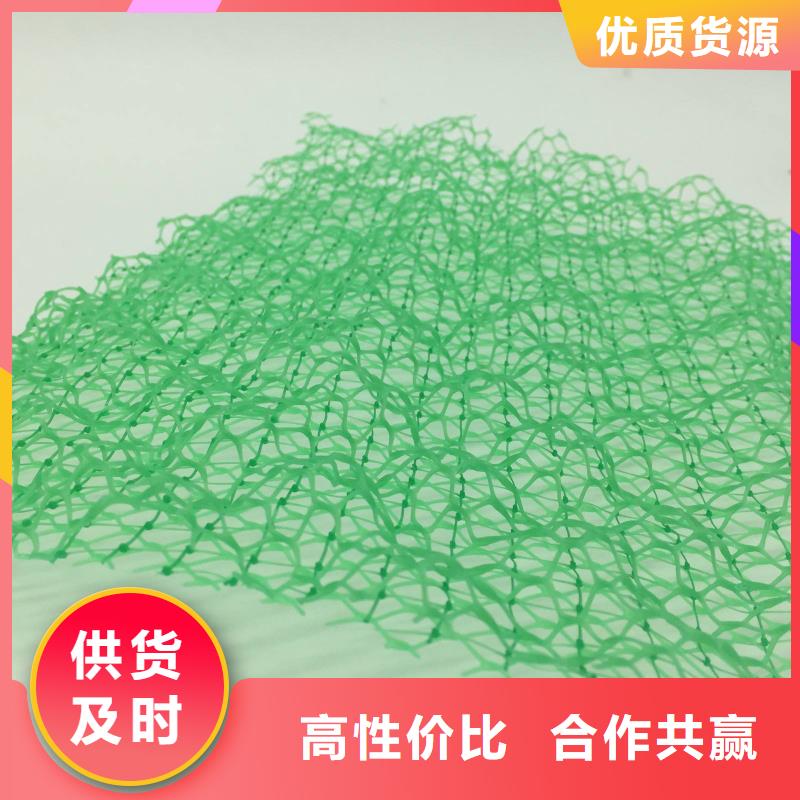 三维植被网长丝土工布研发生产销售当地厂家