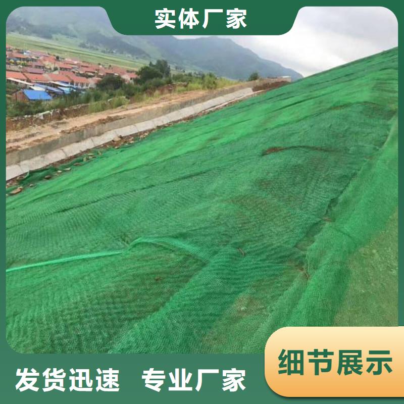 三维植被网三维复合排水网用心做品质优选货源
