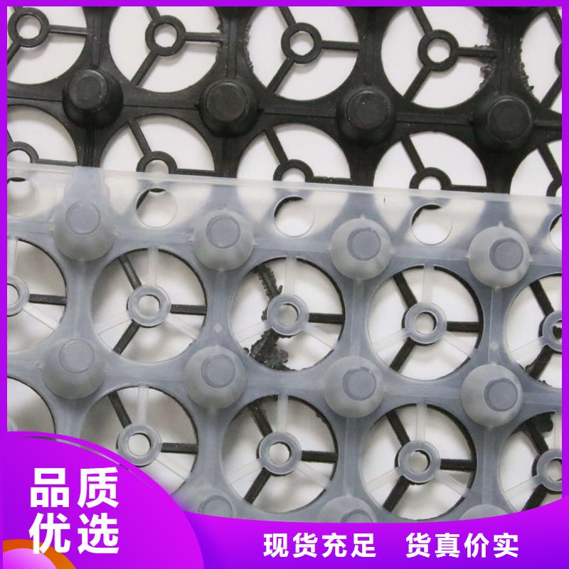 排水板双向塑料土工格栅您想要的我们都有专业设计
