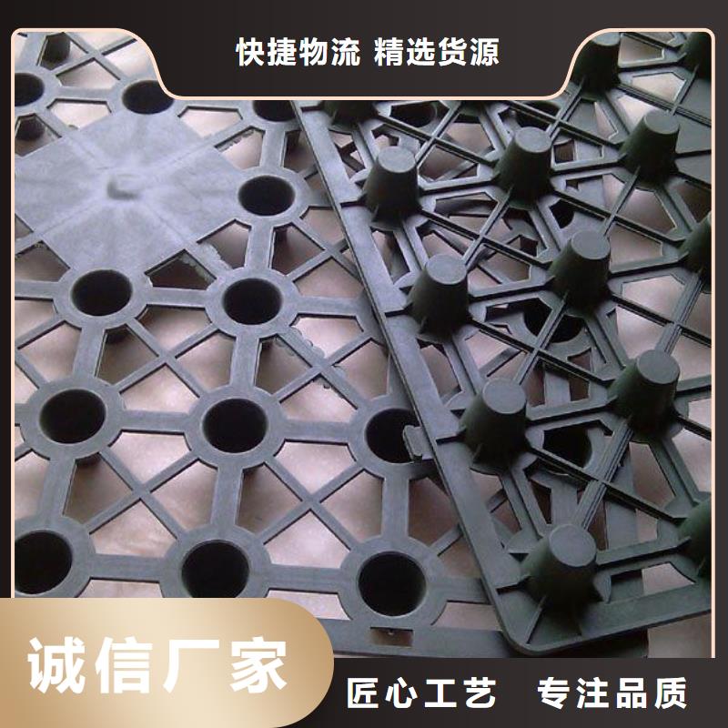 排水板涤纶土工格栅可定制质量看得见