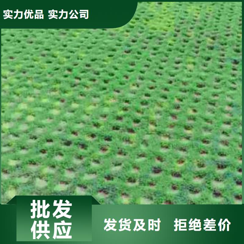 植草格蜂巢格室选择我们没错满足多种行业需求