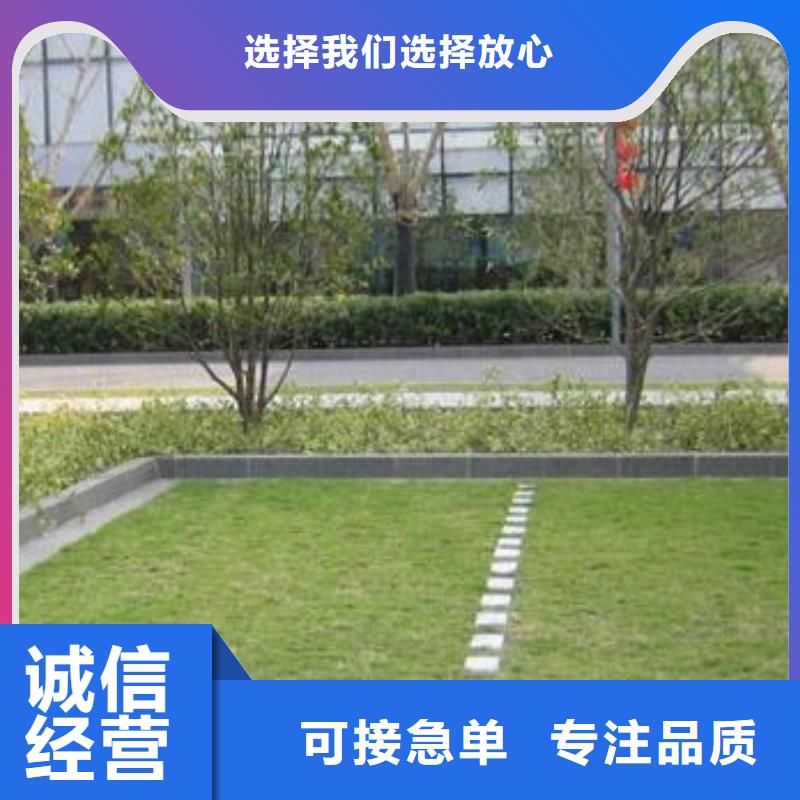 植草格软式透水管采购厂家直发