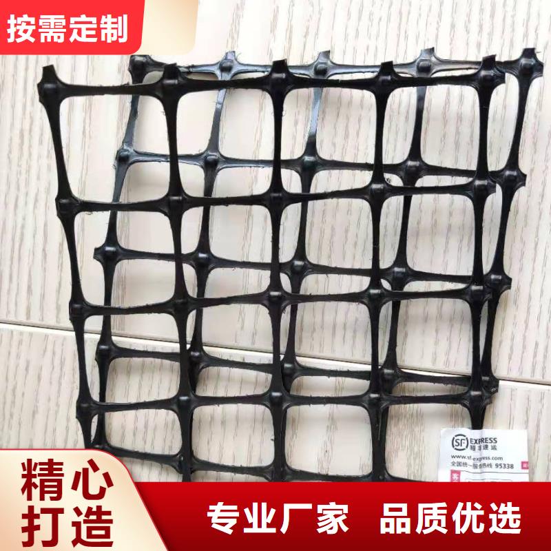 塑料土工格栅护坡土工网用心经营优质货源