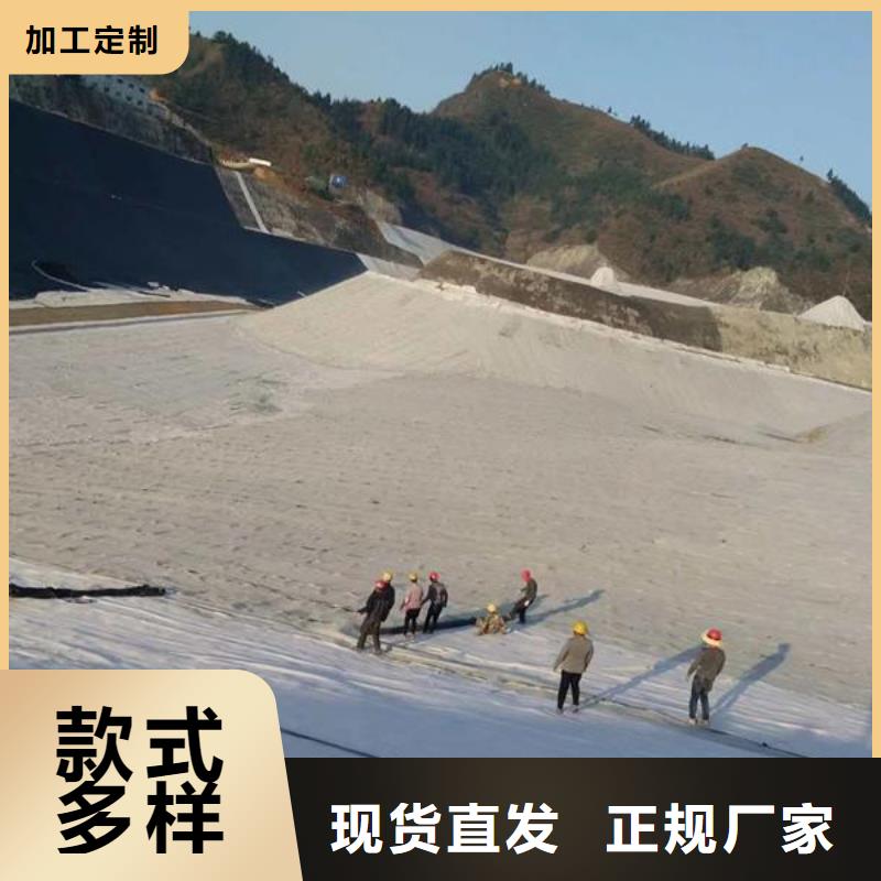 膨润土防水毯钢塑土工格栅厂家直发经销商