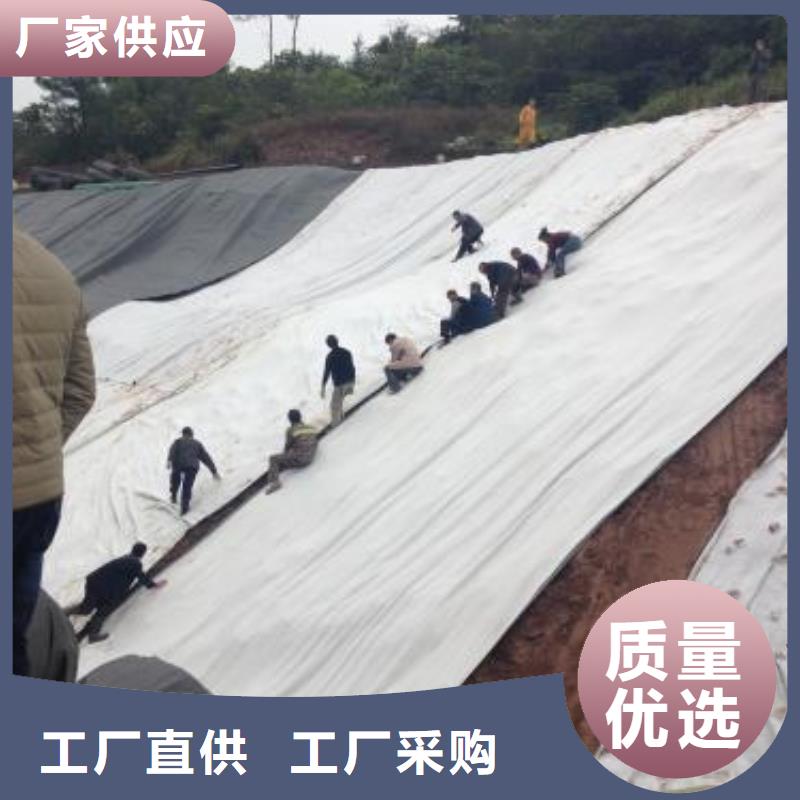 【膨润土防水毯】,三维土工网垫工厂现货供应本地服务商