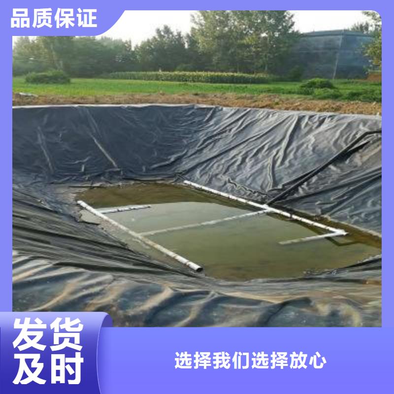 土工膜双向土工格栅大厂家实力看得见型号齐全