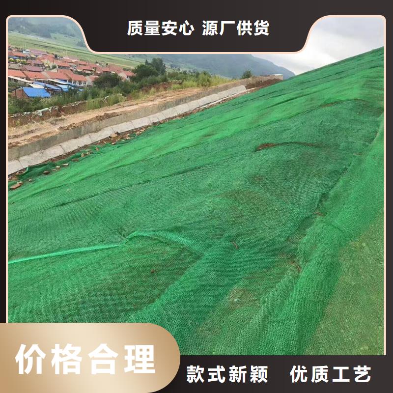 三维植被网涤纶土工格栅海量货源定制销售售后为一体