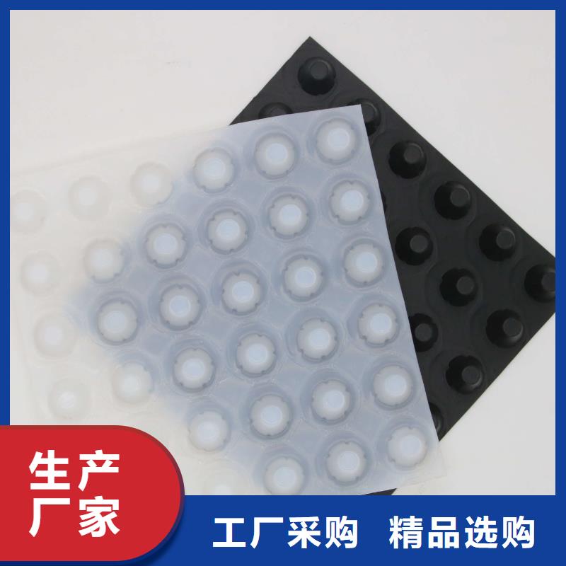 【塑料排水板复合土工膜N年大品牌】好货直供