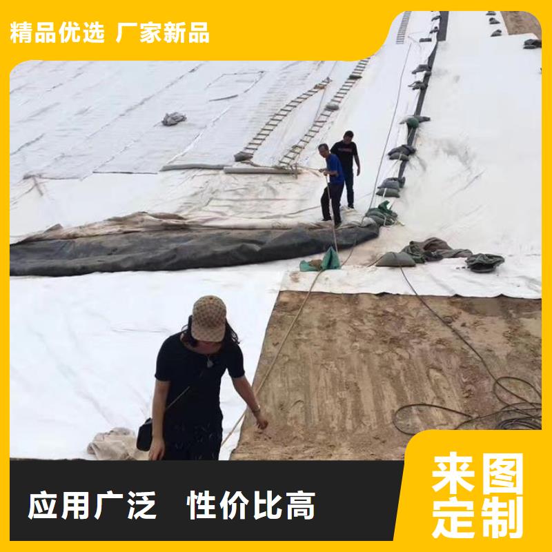 三维复合排水网_养护土工布敢与同行比价格当地服务商