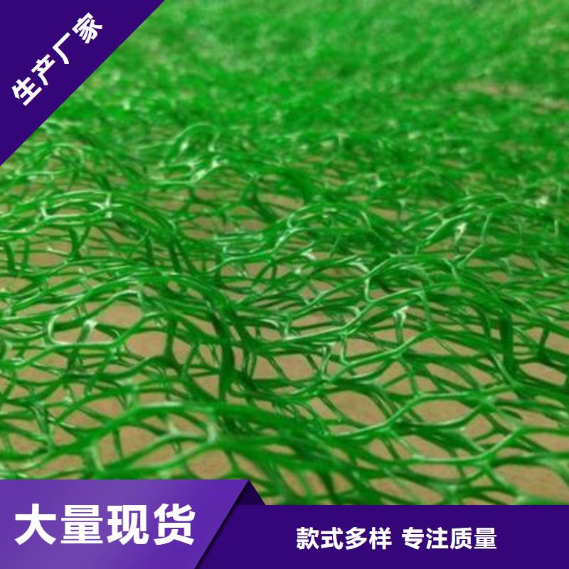 三维植被网【双向塑料格栅】现货充足量大优惠快速物流发货