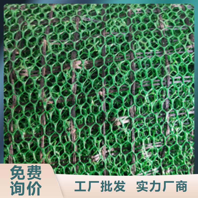 三维植被网膨润土防水毯品质保证可定制有保障