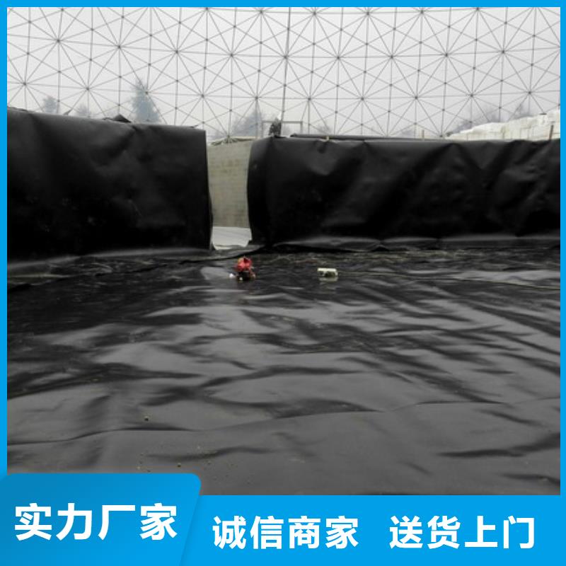 【土工膜】-土工席垫买的是放心本地货源