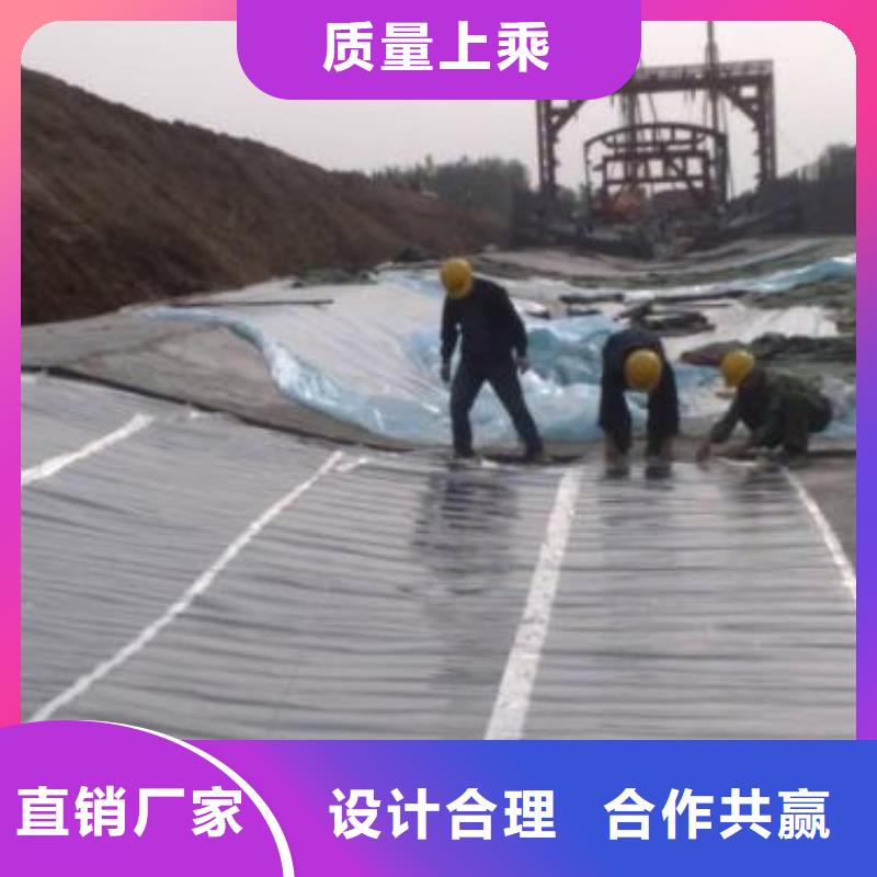 土工膜_三维复合排水网种类齐全本地经销商