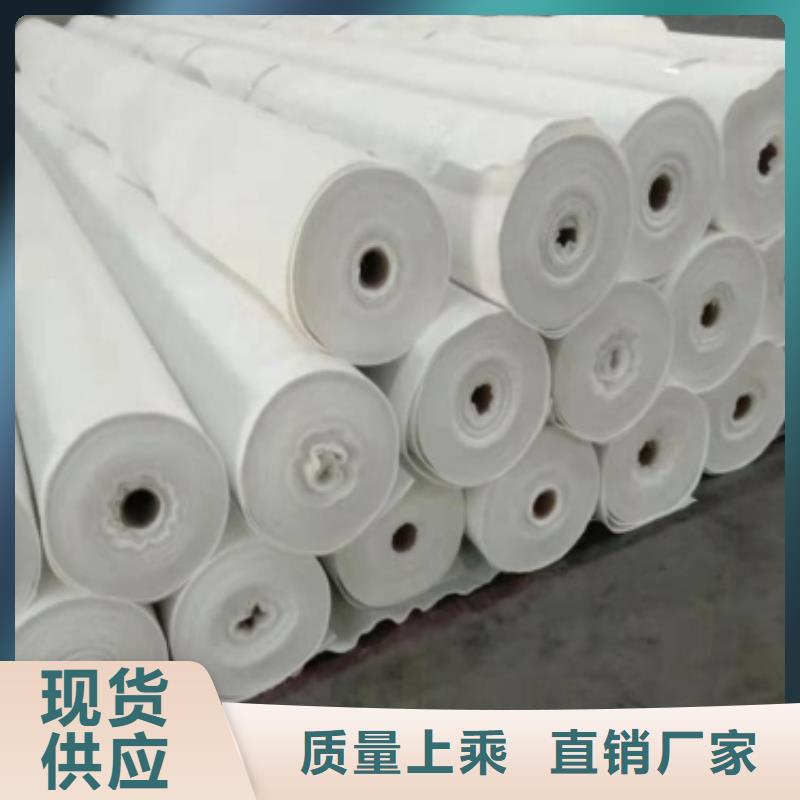 【土工布三维植被网用途广泛】当地制造商
