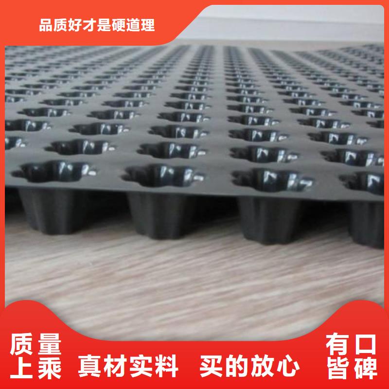 蓄排水板-单向塑料土工格栅精品选购当地制造商