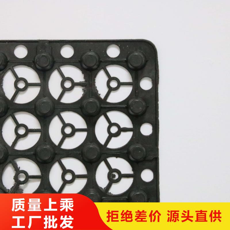 蓄排水板单向塑料土工格栅细节决定品质本地制造商