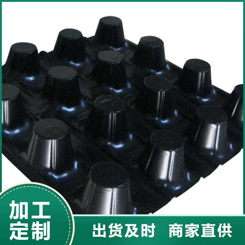 蓄排水板三维复合排水网当地货源同城生产厂家