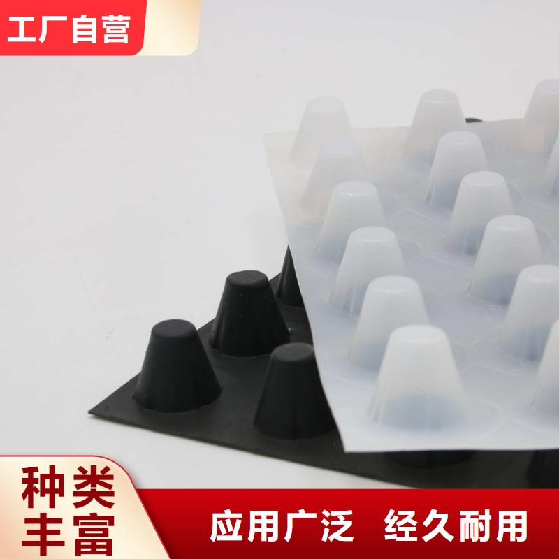 蓄排水板-【土工格室】优质工艺同城厂家