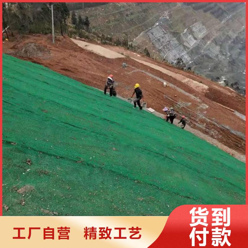 三维植被网三维复合排水网资质认证满足客户所需