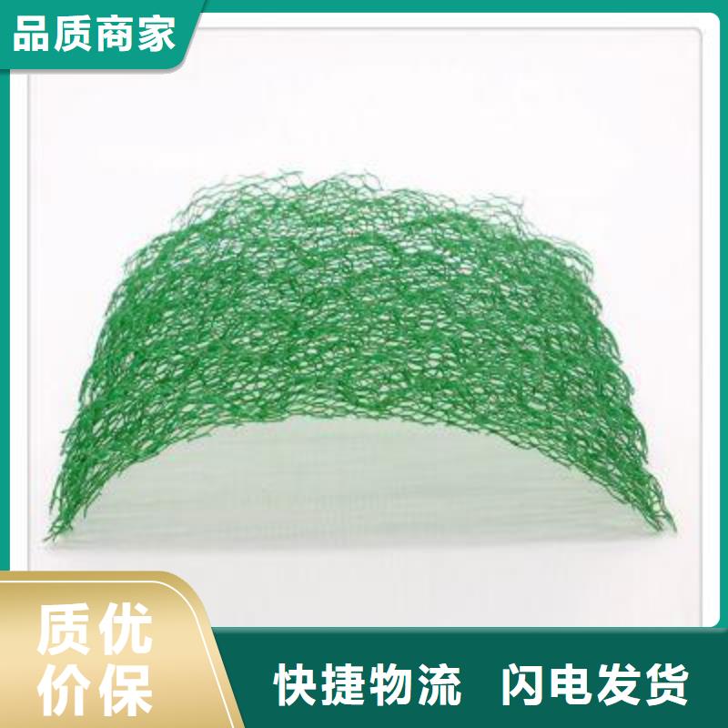 【三维植被网】护坡土工网精心选材同城生产商