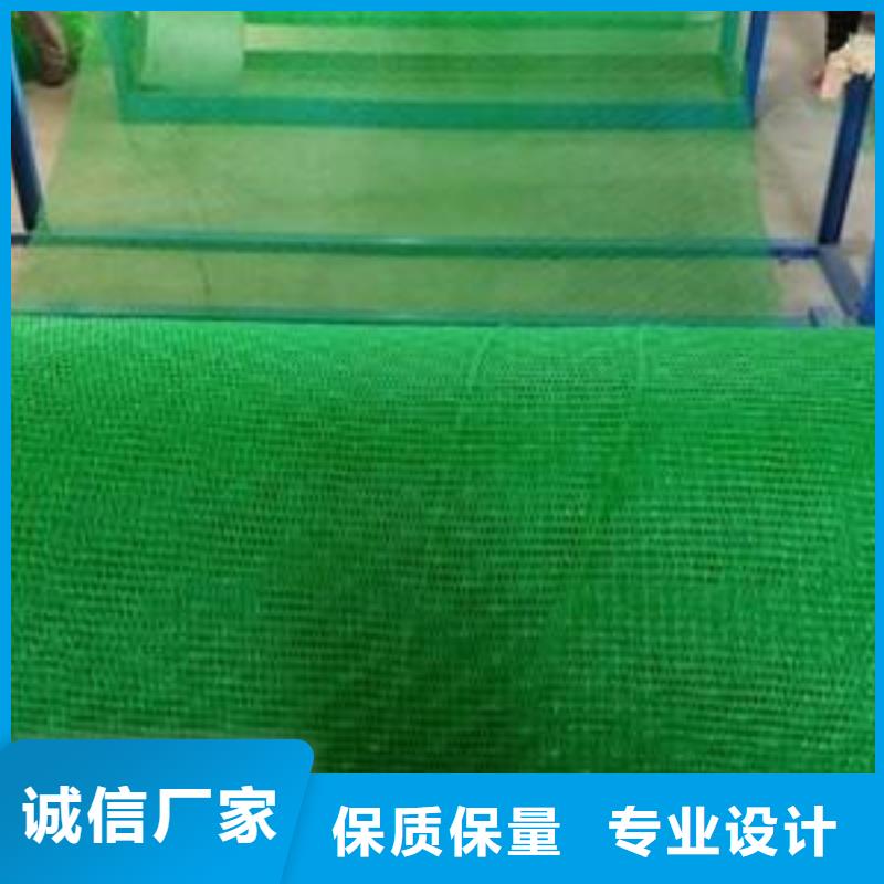 【三维植被网】凸结点钢塑土工格栅质量优选实地大厂