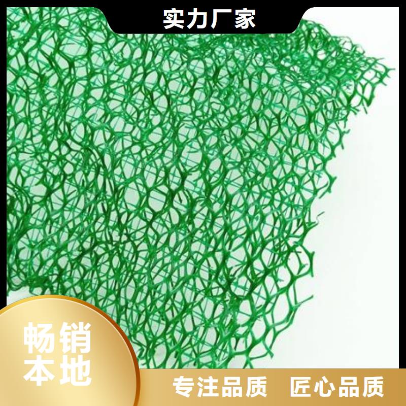 三维植被网钢塑土工格栅快速发货定制零售批发