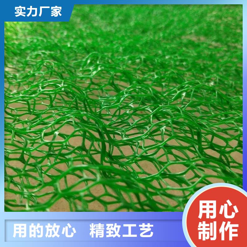 【三维植被网】三维土工网垫精选好货厂家实力雄厚