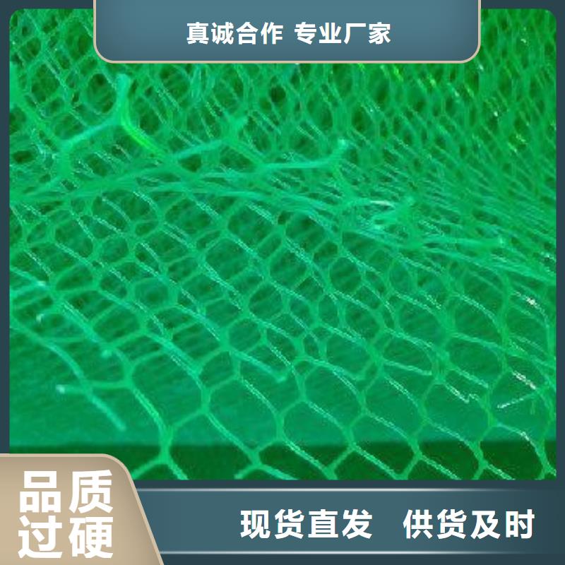 三维植被网钢塑土工格栅可定制有保障当地公司