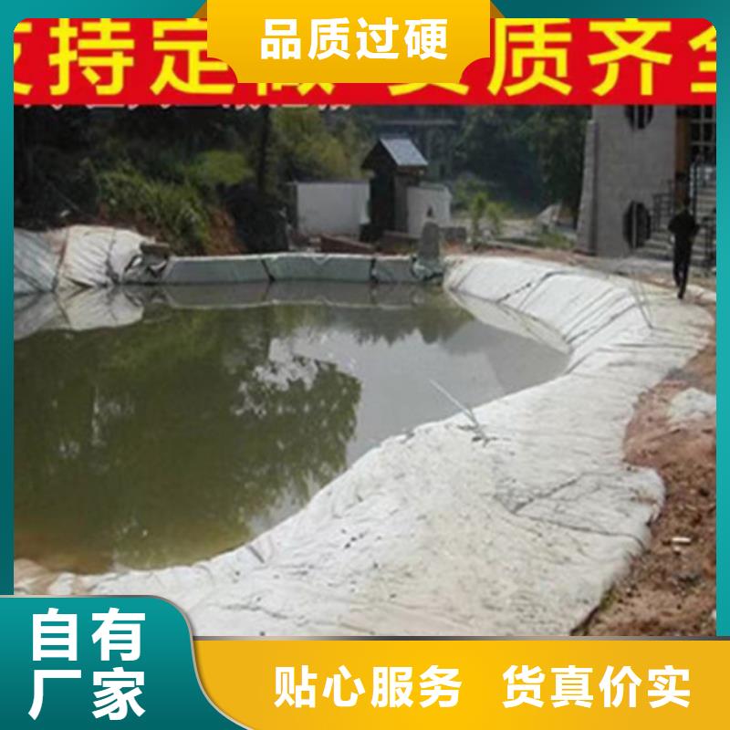 【土工布】双向塑料土工格栅一站式采购方便省心厂家直销安全放心