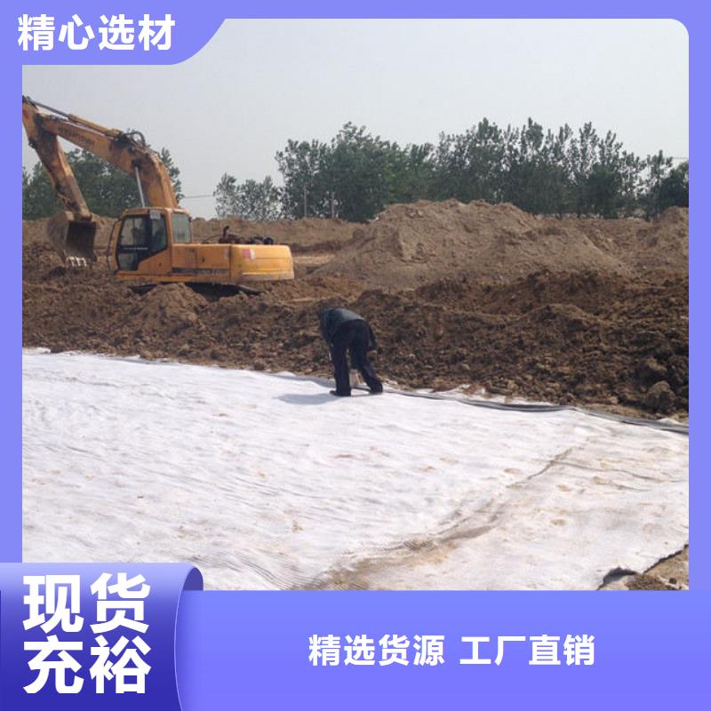 【防水毯护坡土工网品质卓越】专注生产N年