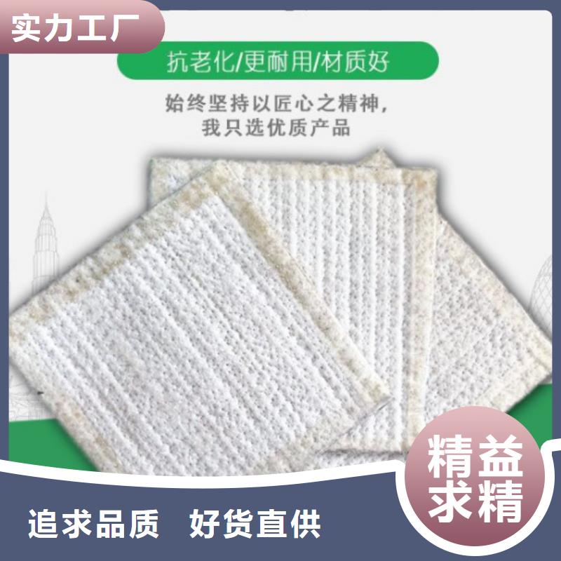 【防水毯】-涤纶土工格栅优质原料工艺成熟