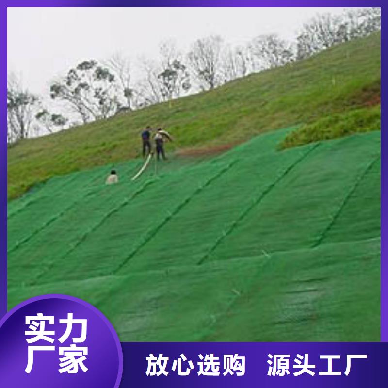 【三维植被网,土工膜质量好】优选原材