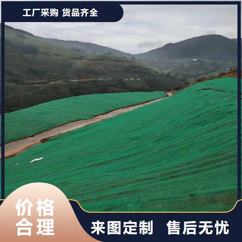 三维植被网_钢塑土工格栅厂家精选本地经销商