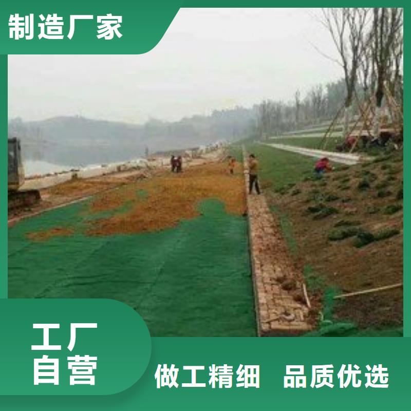 三维植被网【钢塑土工格栅厂家】工艺层层把关当地厂家