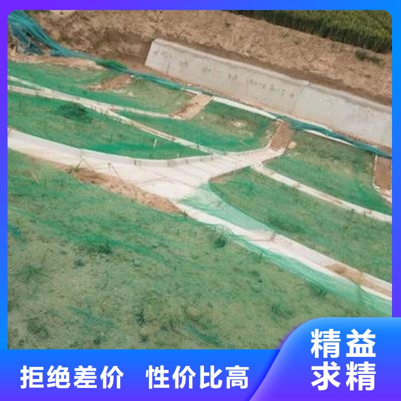 三维植被网-聚丙烯双拉土工格栅支持加工定制实体厂家